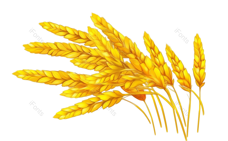 芒种图片,元素元素,种子PNG,麦子免抠素材